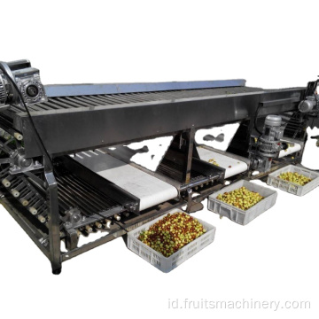 Mesin penyortiran gradasi tomat sekrup buah dengan conveyor